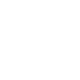 CSS3 logo
